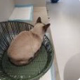 曾睿煊